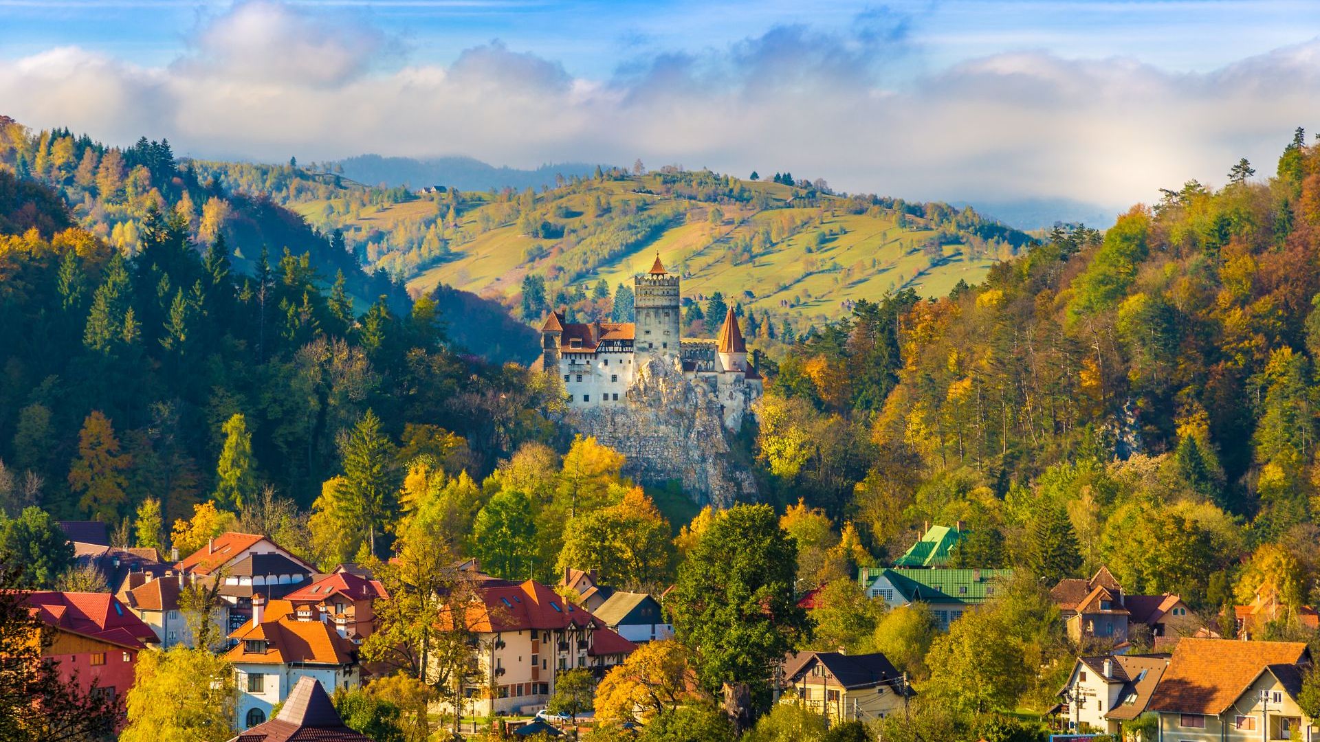 Blick auf Burg